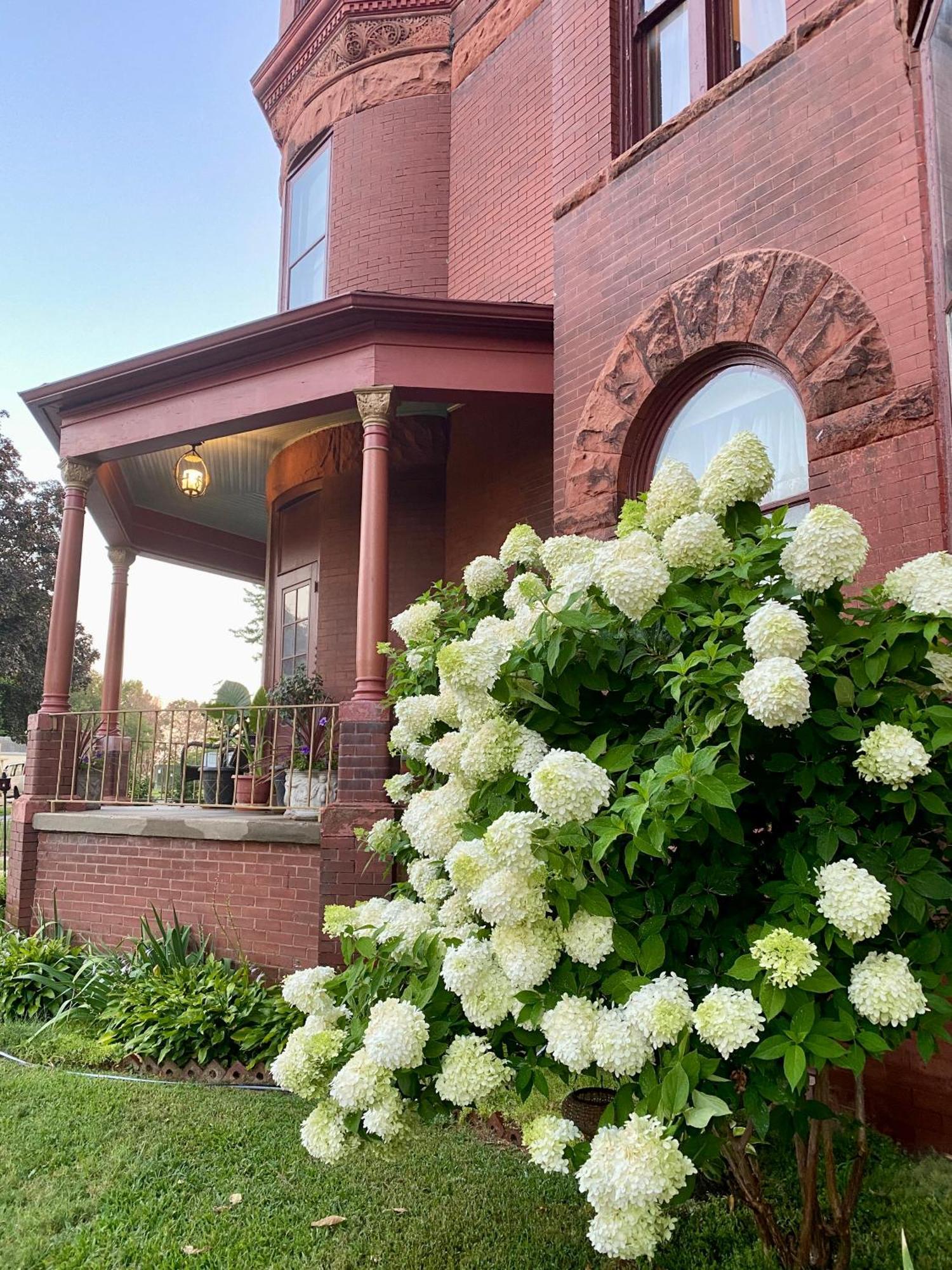 Vineyard Mansion B&B Saint Joseph Dış mekan fotoğraf